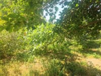 4 otaqlı həyət evi 200 m² satılır — şəkil 17