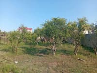 21 sot torpaq sahəsi satılır — şəkil 6