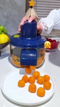 Meyvə-tərəvəz soyma maşını — şəkil 10
