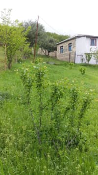 18 sot torpaq sahəsi satılır — şəkil 6
