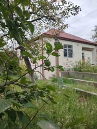 15 sot torpaq sahəsi satılır — şəkil 5
