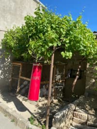5 otaqlı həyət evi 70 m² satılır   — şəkil 11