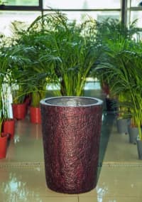 Fiberglass dibçəklər, yüngül və davamlı bitki qabları — şəkil 10