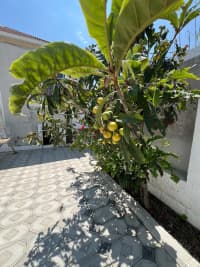 3 otaqlı həyət evi 110 m² satılır — şəkil 14