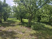3 otaqlı bağ evi 62 m² satılır Qusar — şəkil 21