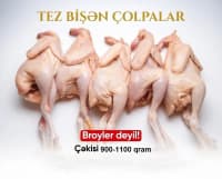 Tez bişən Çolpalar — şəkil 6