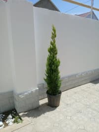 4 otaqlı həyət evi 127 m² satılır — şəkil 6