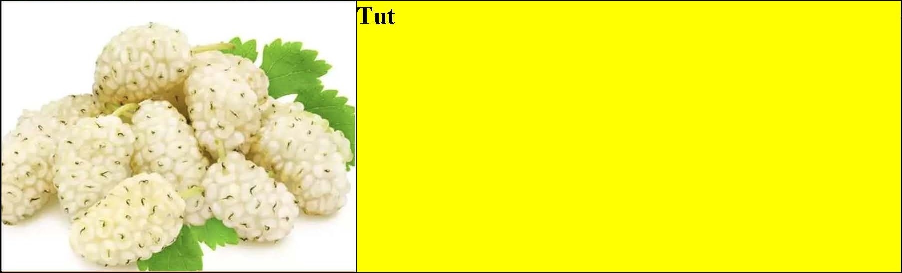 Badam, qoz, tut, yapon əzgili tingləri — şəkil 3