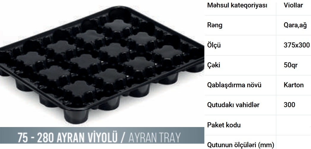 Ayran-qatıq viyolları — şəkil 2