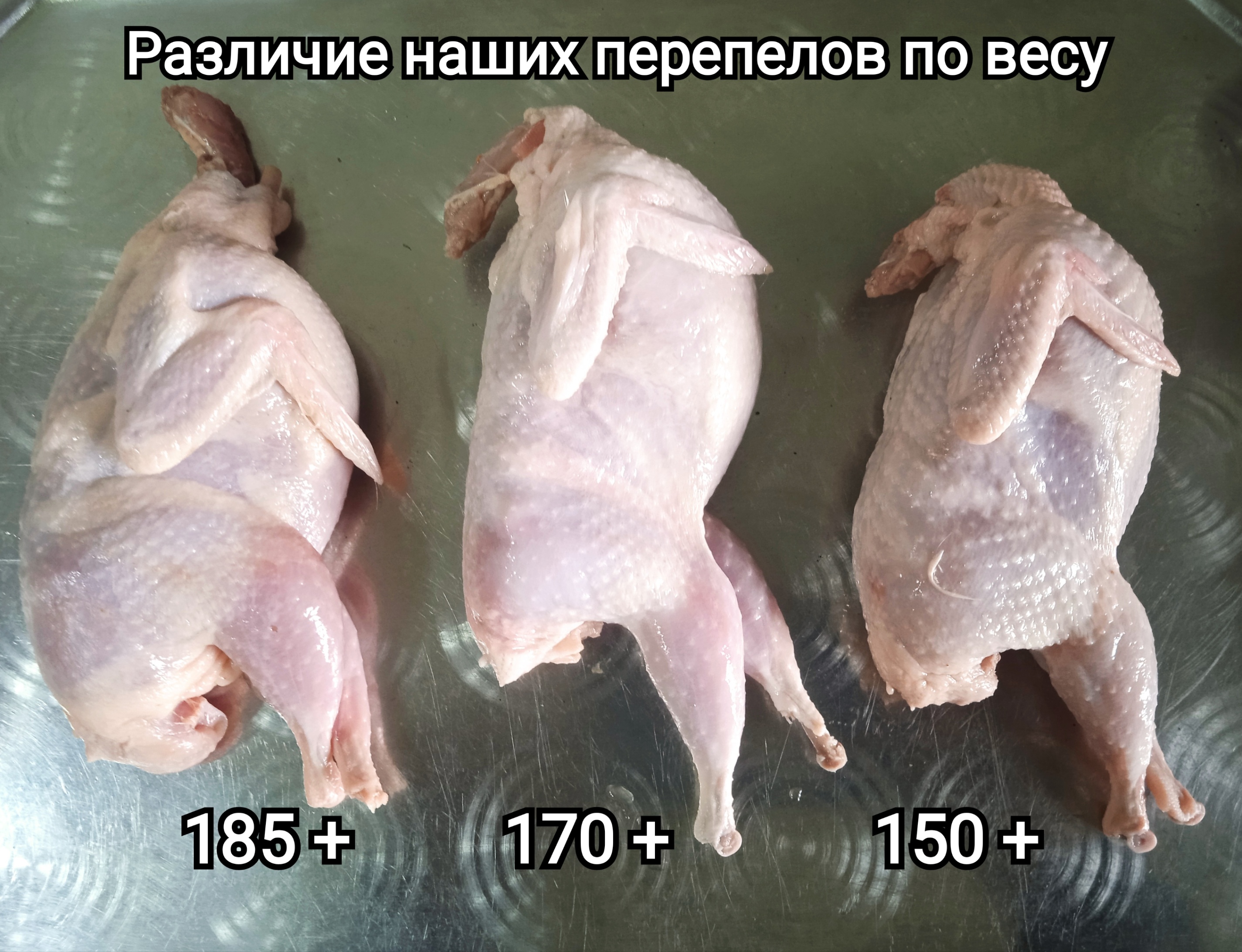 Перепелиные мясо 