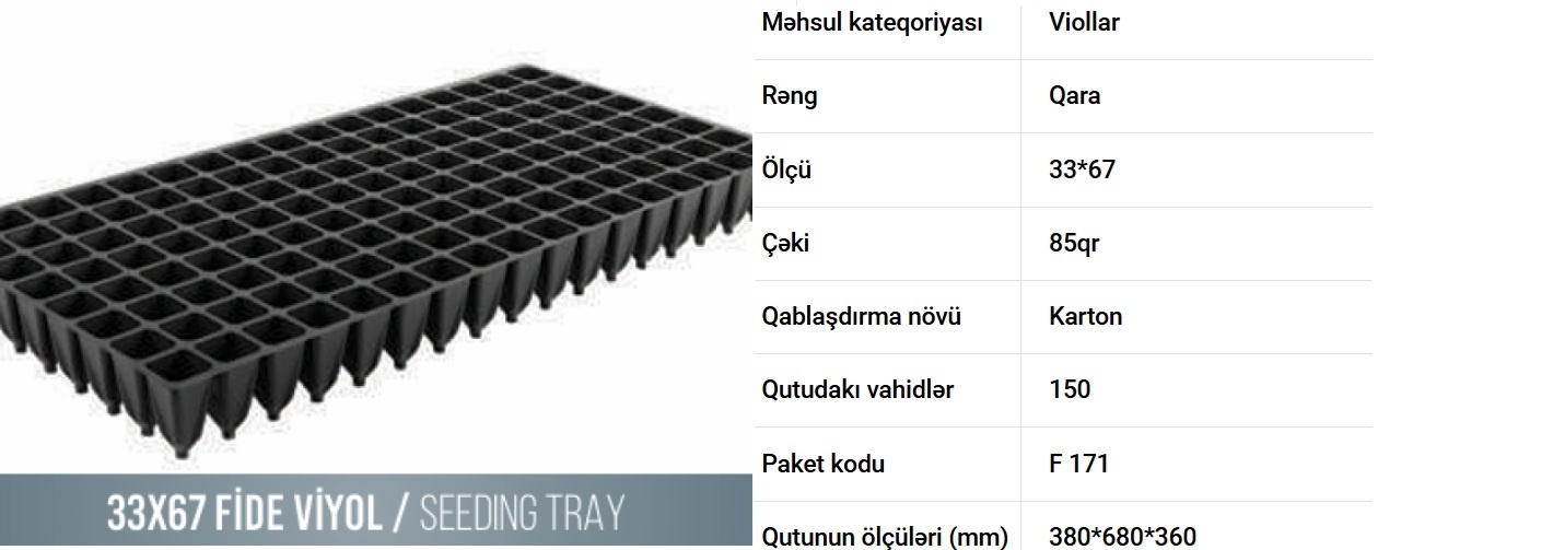 Fidan-şitil viyolları — şəkil 4