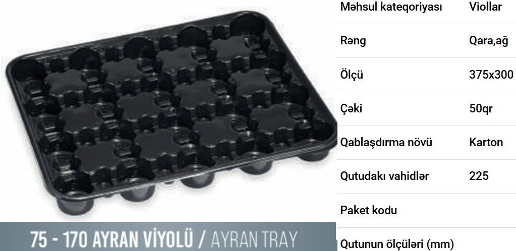 Ayran-qatıq viyolları — şəkil 1