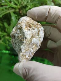 Petrified wood (daşlaşmış ağac) fosili + Kalsit — şəkil 6
