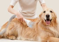 Petkit Pet Grooming Vacuum Kit 5-in-1 (LM4) — şəkil 5