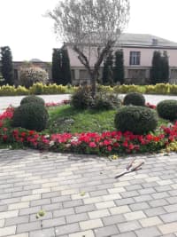 — şəkil 21