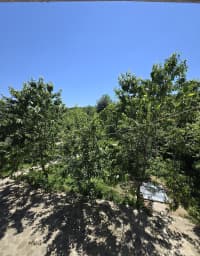 4 otaqlı bağ evi 160 m² günlük kirayə verilir — şəkil 11
