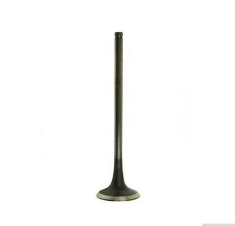 Valve for BYD Destroyer 05 1.5L - Tenderyard