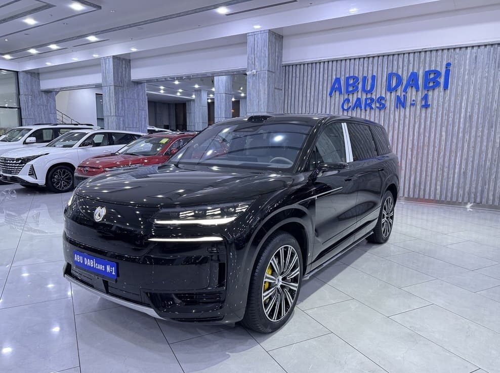Denza N9, 2025 il, 0 km, 2000 L