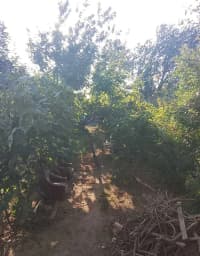 4 otaqlı həyət evi 165 m² satılır Bakı, Sabunçu r. — şəkil 24