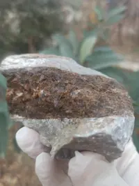 Kolleksiyacılar üçün təbii daş — şəkil 7