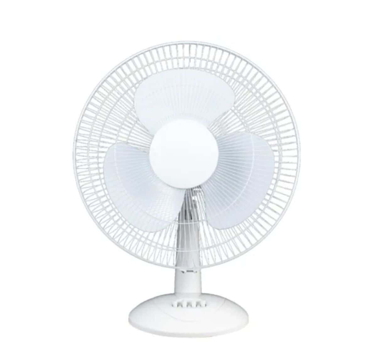 Kumtel fan - Tenderyard