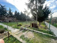 9.6 sot torpaq sahəsi satılır — şəkil 3