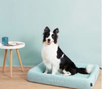 Petkit Four Season Sleep Bed (P7110) Heyvan Yatağı — şəkil 3