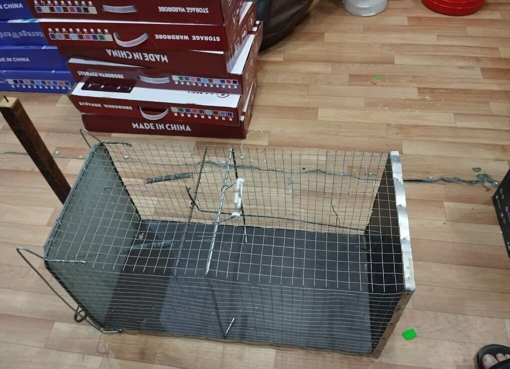 Tülkü və gəmirici tələsi 70x35x35 sm