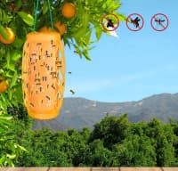 Arı və eşşəkarısı tələsi, plastik — şəkil 7