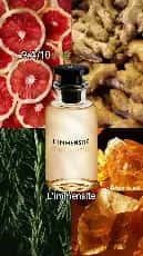 Louis Vuitton L'Immensité Men's Perfume 50ml in simple packaging - Tenderyard