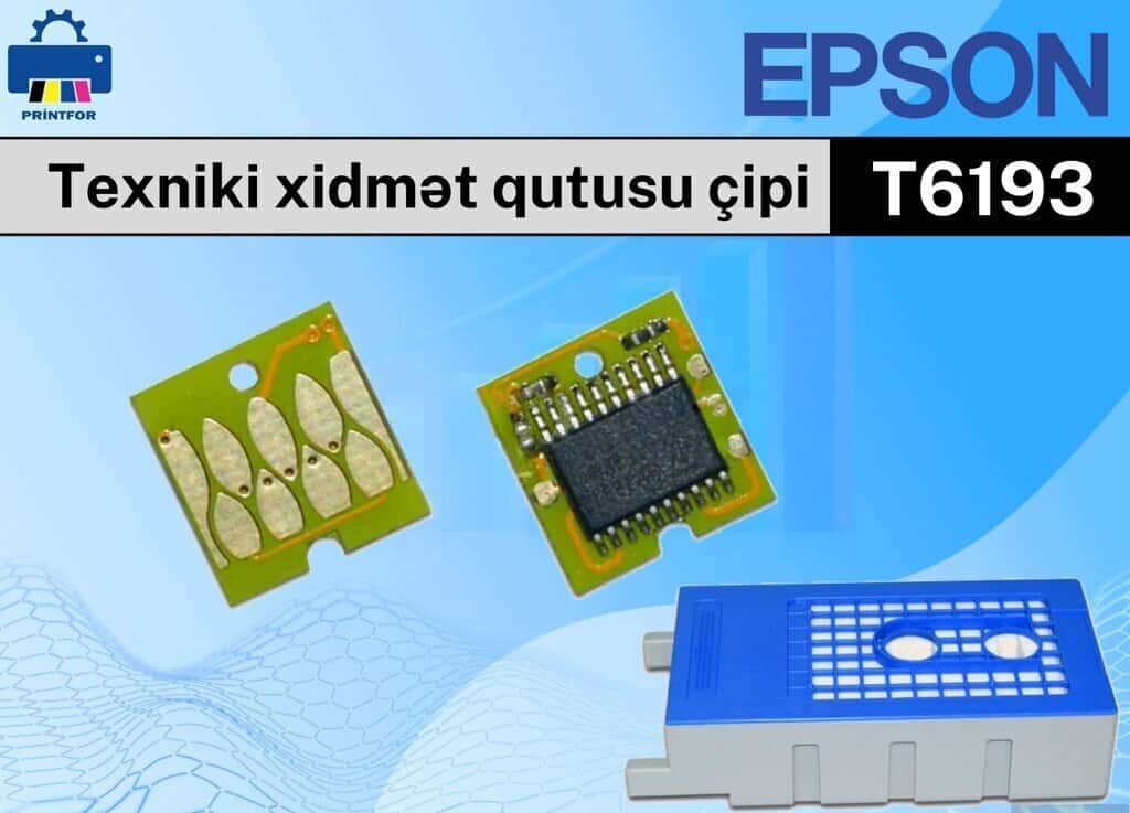 Chips and Maintenance Box for Epson Printer (T-6193) - Tenderyard