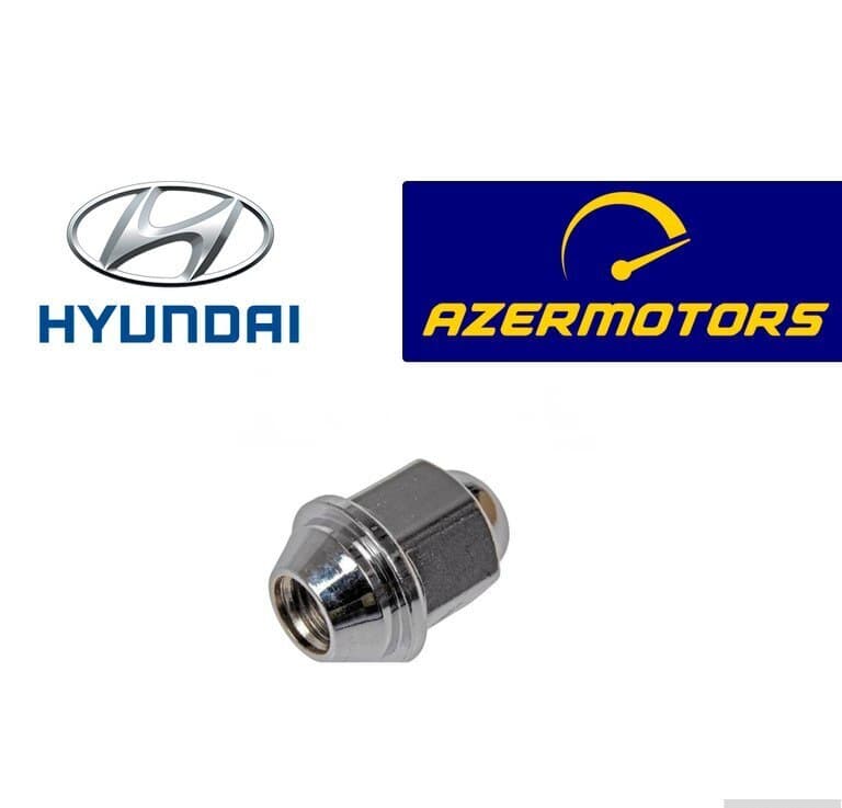 Təkər qaykası Hyundai 5295017000