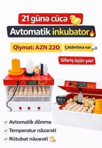 Avtomatik yumurta inkubatoru — şəkil 1