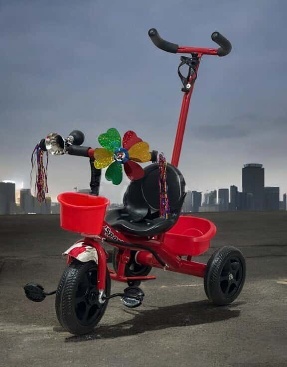 Children's bicycle with handle 2-5 years old - Tenderyard