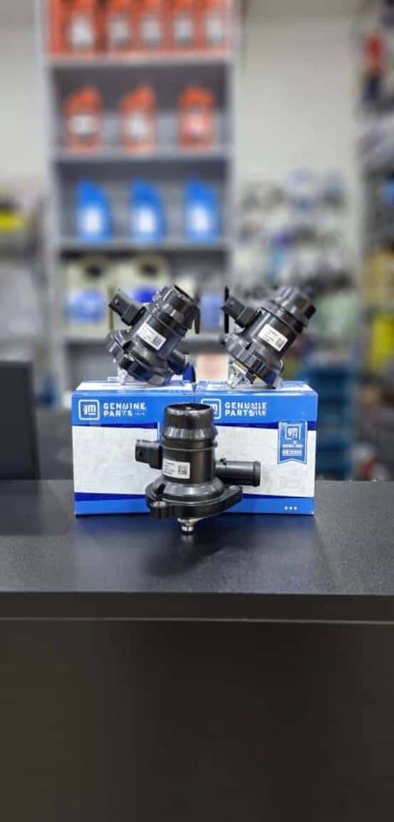 Termostat Chevrolet Cruze 1.4 (2009-2014) GM