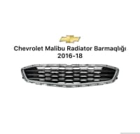 Radiator barmaqlığı Chevrolet və Ford modelləri üçün — şəkil 21