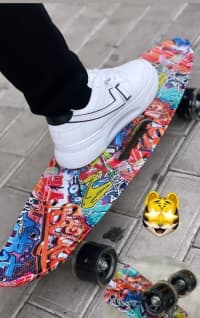 Skeytbord və Pennyboard Modelləri — şəkil 3