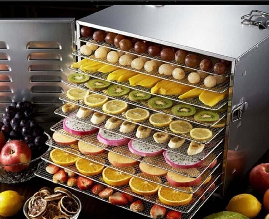 Professional Fruit and Vegetable Dehydrator - Tenderyard