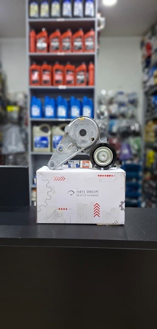 Kəmər tarımlayıcı rolik Ford Fusion 2013-2021