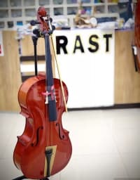 Violonçel Dominguez və digər modellər — şəkil 2