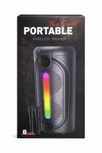 Portativ dinamik Big Sound 8 inch — şəkil 2