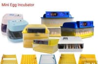 Expert Tam Avtomatik İnkubator — şəkil 1