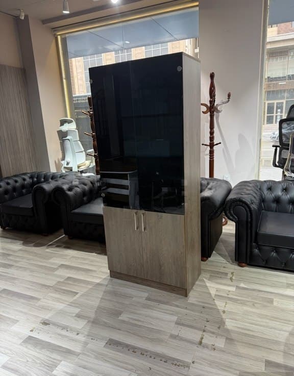 Ofis dolabı İki qapılı, Qəhvəyi rəng