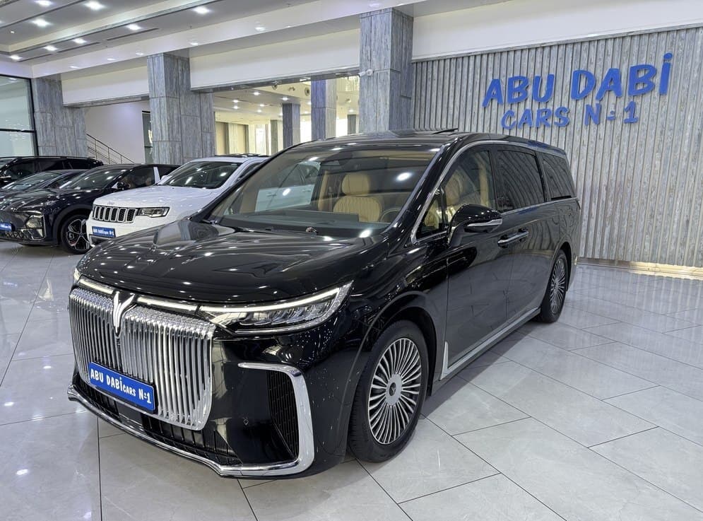 Voyah Dream, 2024 il, 8700 km