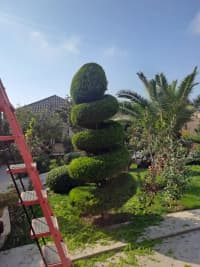— şəkil 17