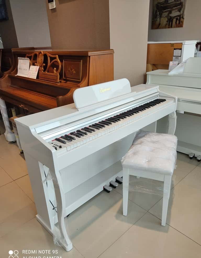 Электронное пианино Euphonia SY-8801 - Tenderyard
