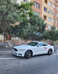Avtomobil kirayəsi Ford Mustang 2018 — şəkil 10