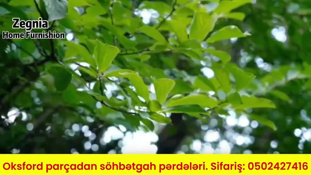 Oksford parçadan söhbətgah və çardaq pərdələri - Tenderyard