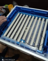 Expert Avtomatik Zavod İnkubatoru (65-240 yumurtalıq) — şəkil 10