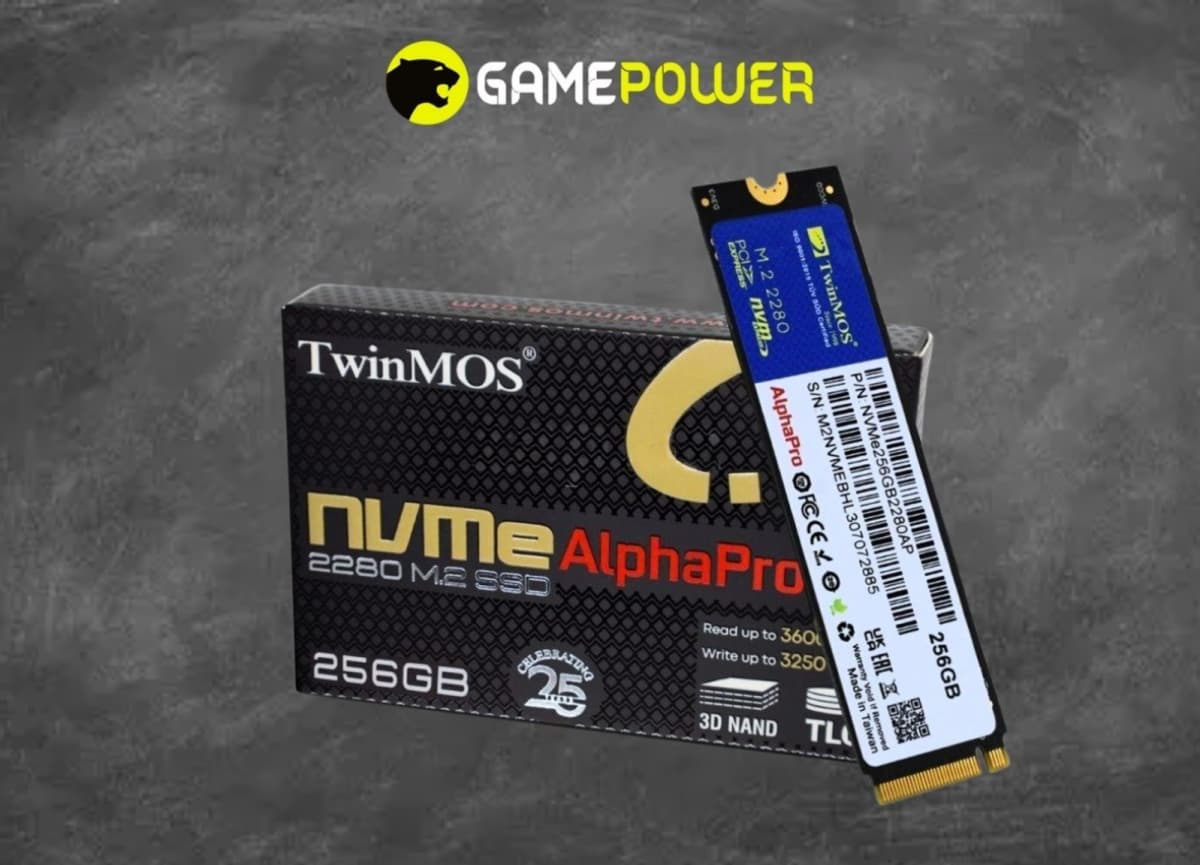 TwinMOS AlphaPro 256GB M.2 NVMe SSD